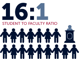 16:1 student to faculty ratio