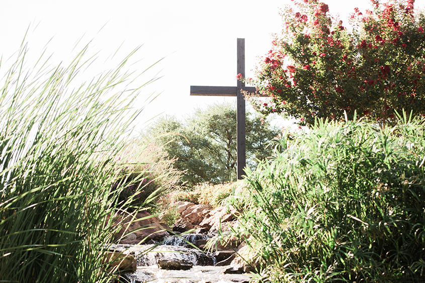 The cross on University Hill hiding behind rose bushes and the stream