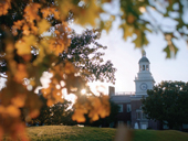 DBU Report Fall 2025 cover image