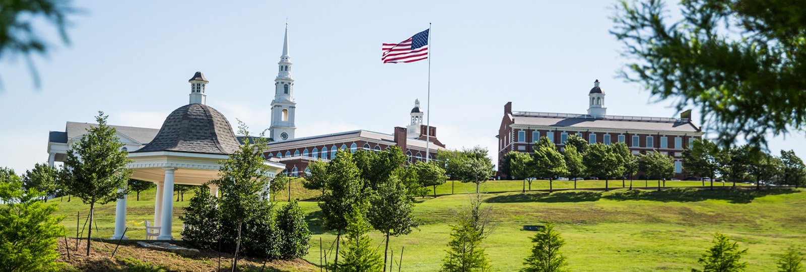 Pre-ProfessionalDBU campus buildings and American flag